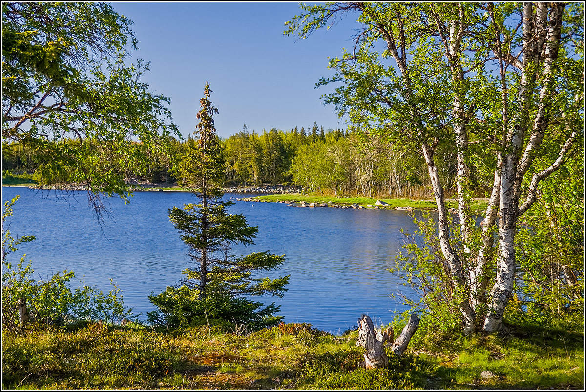 Auf Solovetsky Inseln.