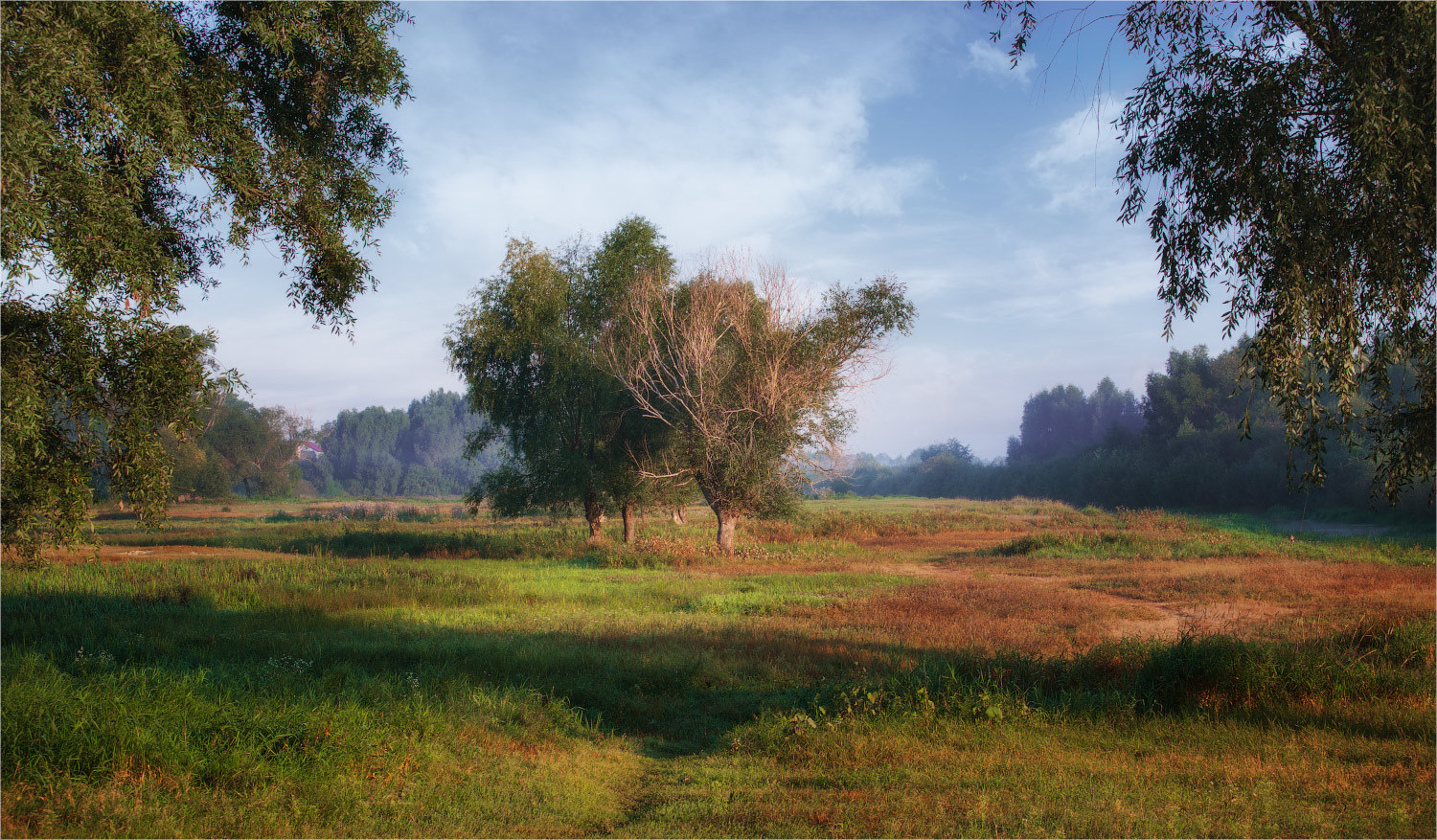 Sommer in vollem Gange ...