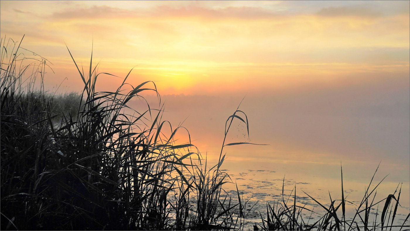 Morning Glückseligkeit