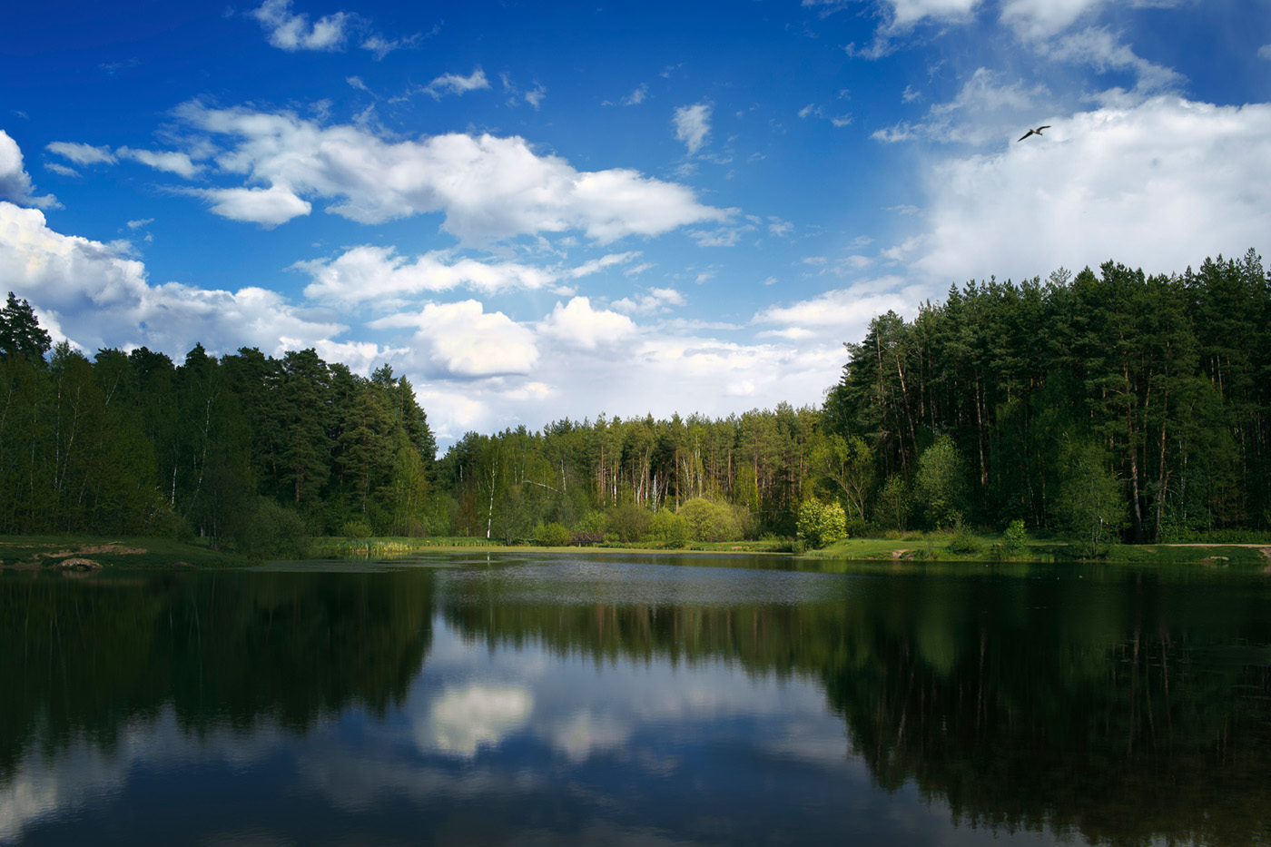 Am See in den Wäldern
