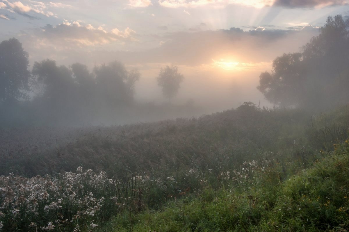 Die Geburt eines neuen Tages.