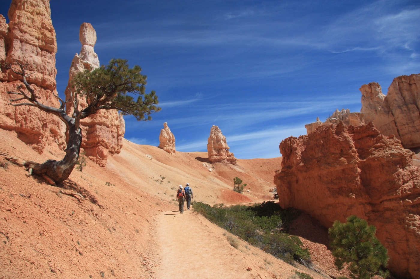 Die Mars-Chroniken ...