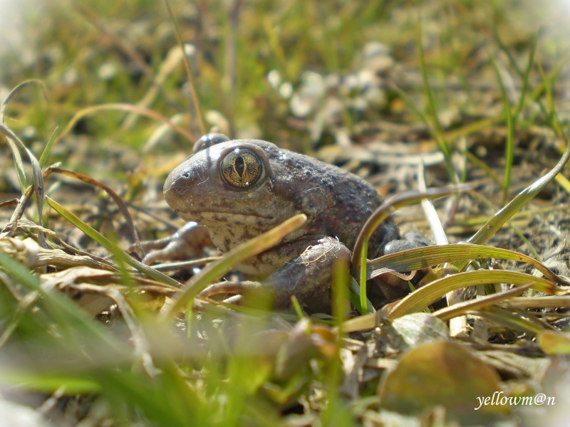 ... In der Sonne aalen b ....