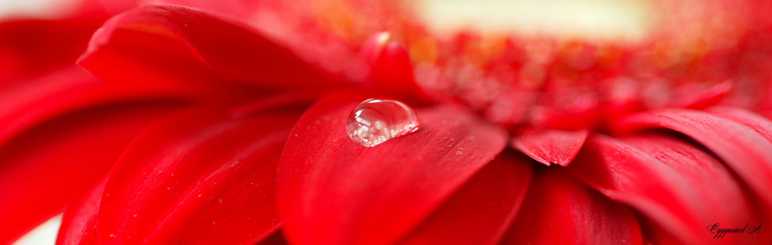 Exit in Red 2 ... tropfen.