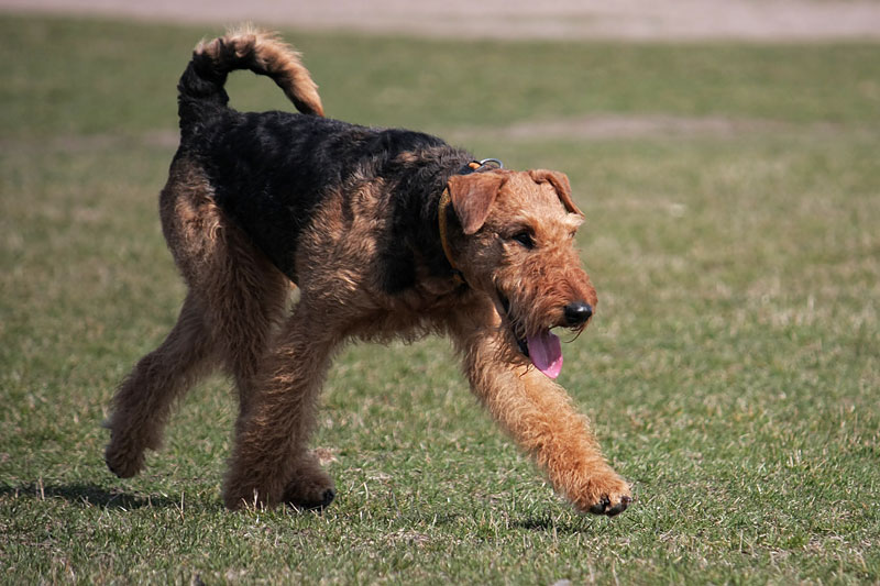 Komm nicht zu spät ...