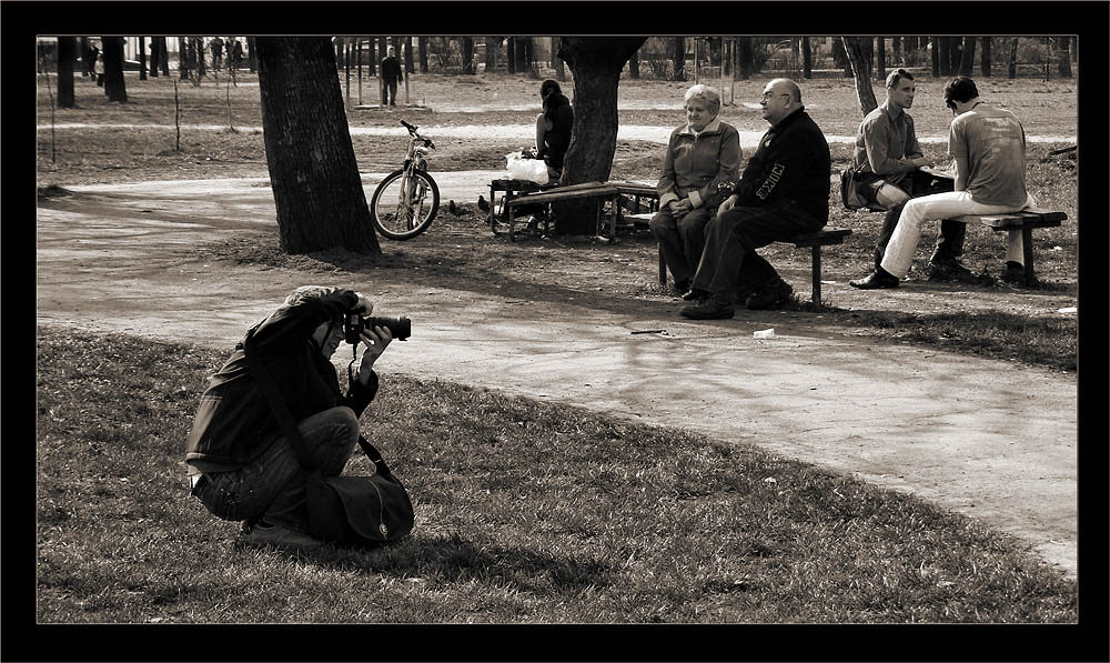 Die Konzentration des Genres ...