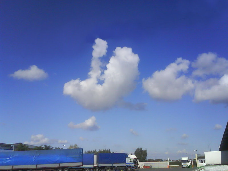 zyamlya Pad belymi krylami