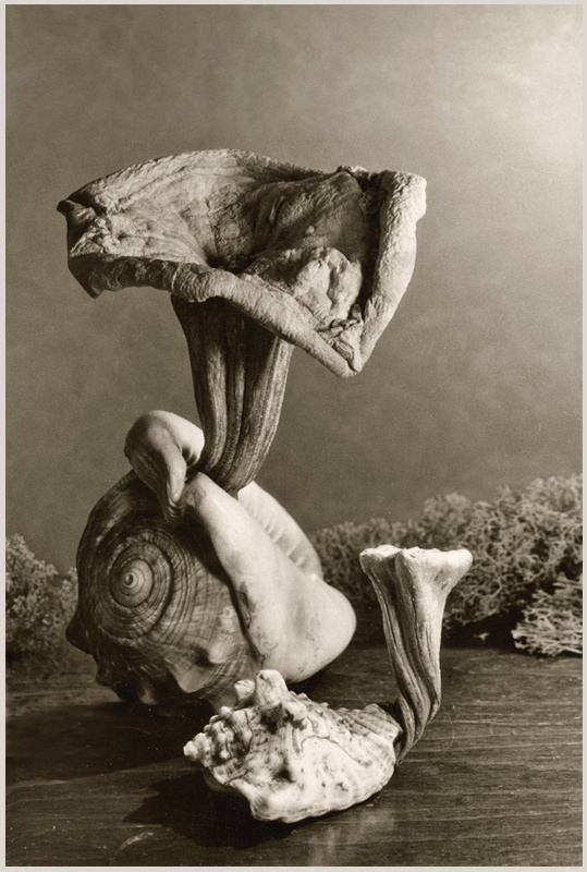 Und sie ging näher an den Abend ...