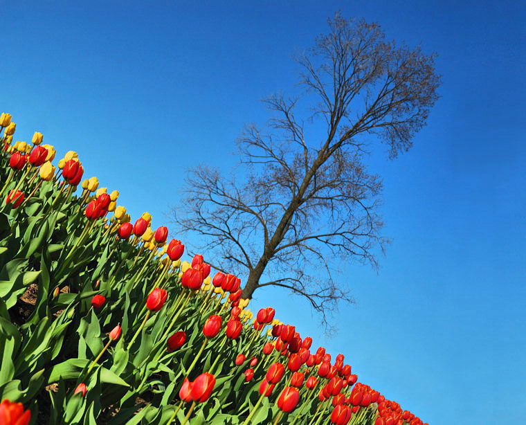 Der erste Tag des Lebens