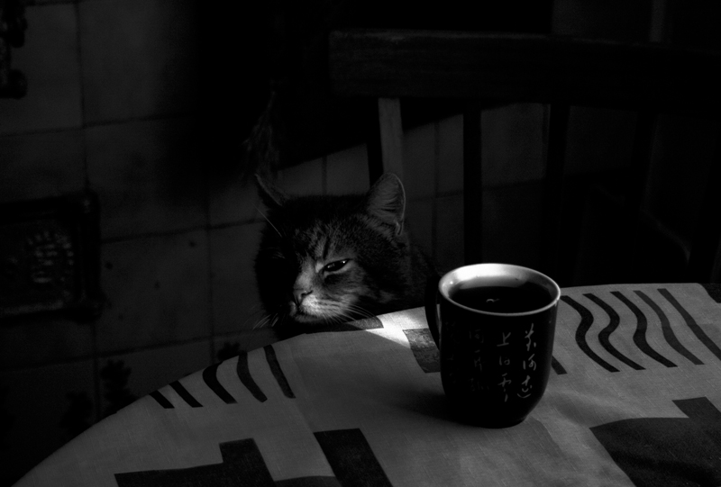 Sakharkov würde ...