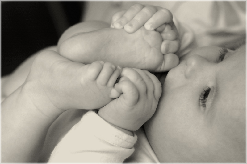 Die erste feste Nahrung