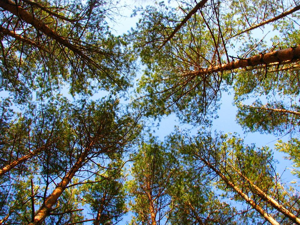 Der Frühling ist gekommen