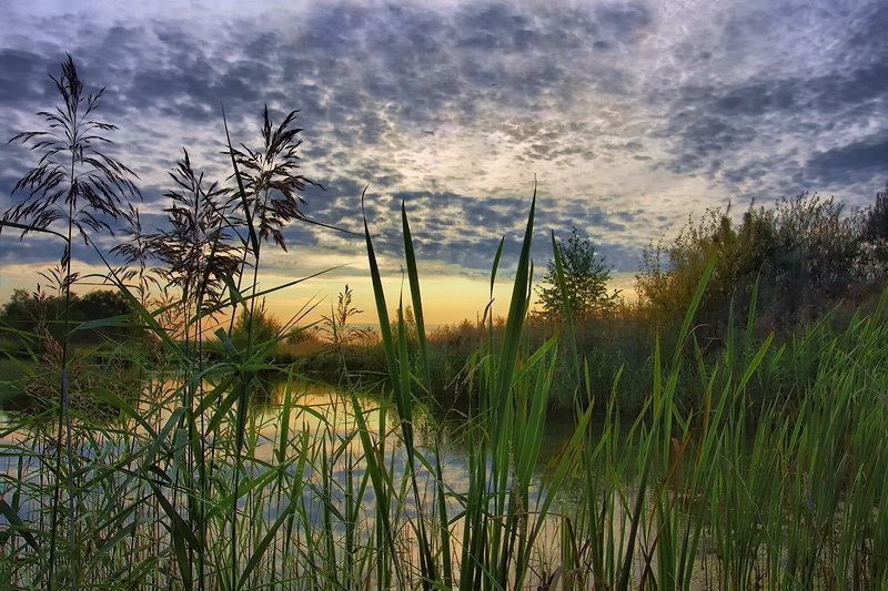 Beginnen Sie den Tag ...