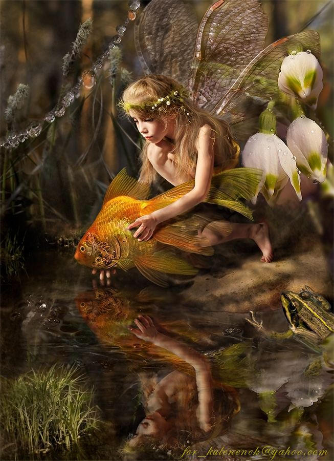 Elf und ein Goldfisch oder drei Wünsche.