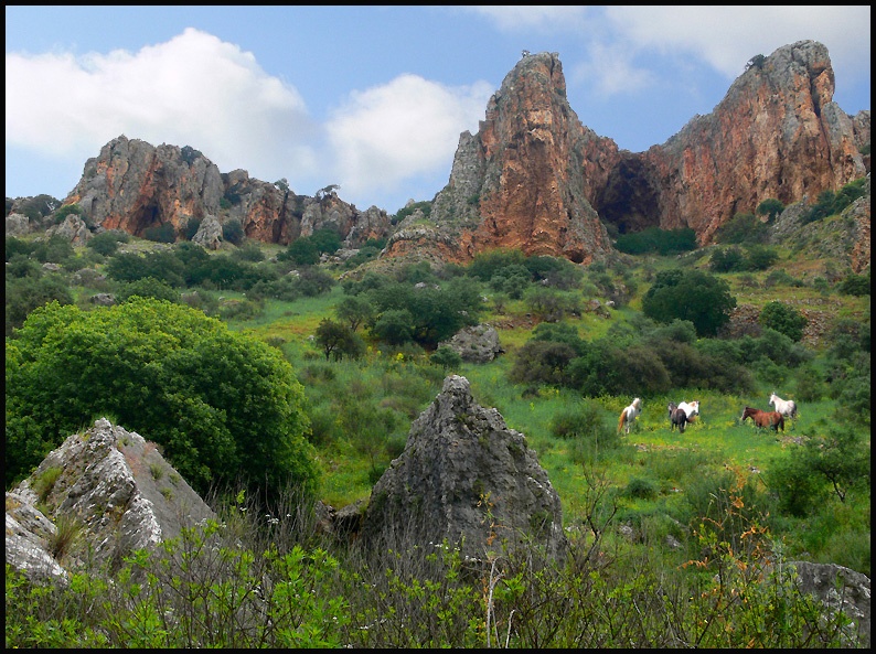 Spaziergang auf Israel