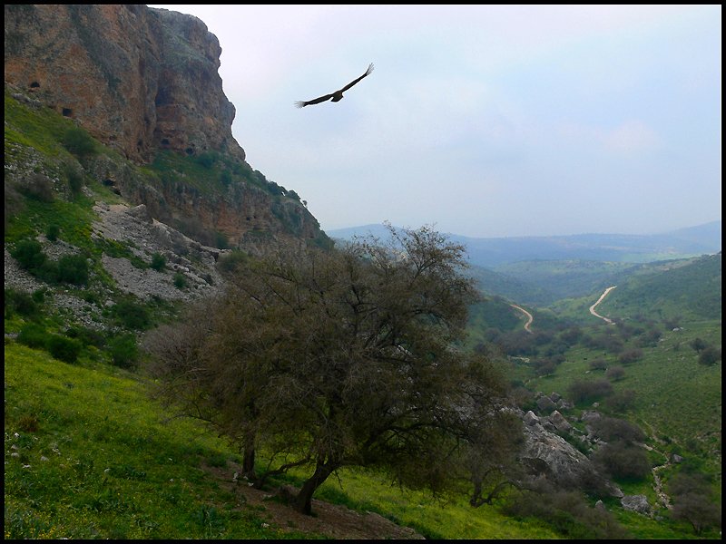 Spaziergang auf Israel