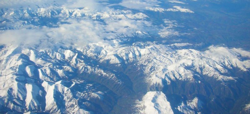 Unter dem Flügel. . .