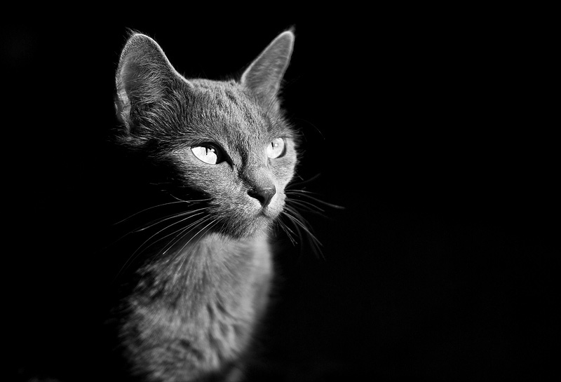 Von der Abenddämmerung