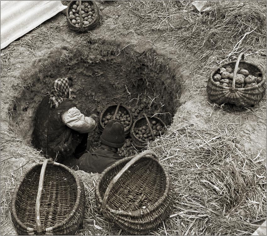 der gemeinsamen Arbeit