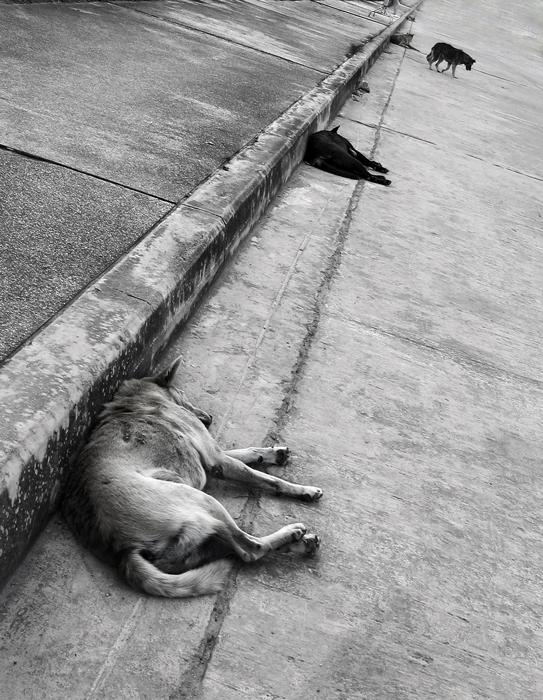 Life Line .... oder *****