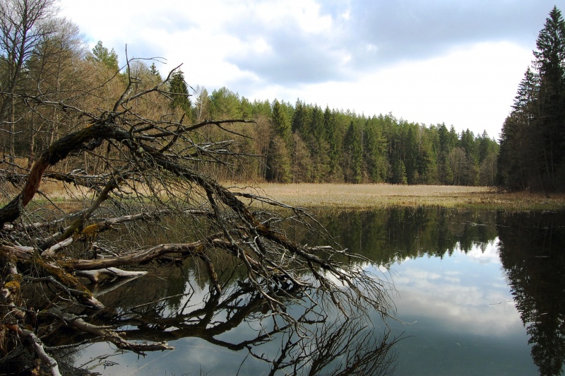 Ein Gleichgewicht zugunsten der \:)