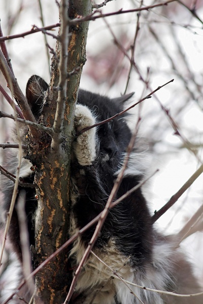 Kümmern Sie sich nicht jagen!