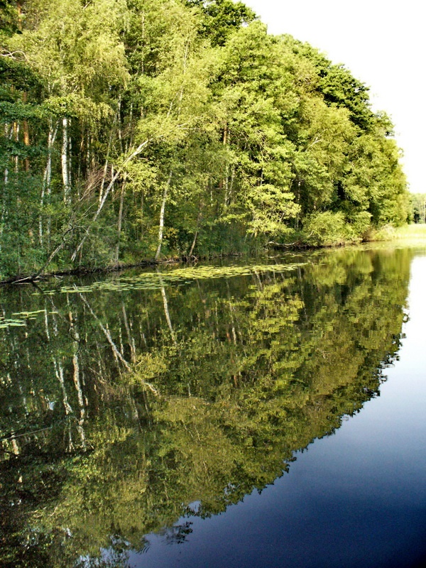 Spiegelbild im Wasser
