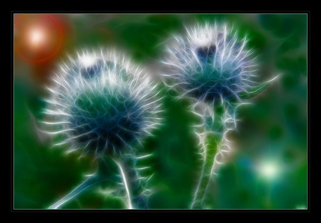 Von hohen Idealen ...