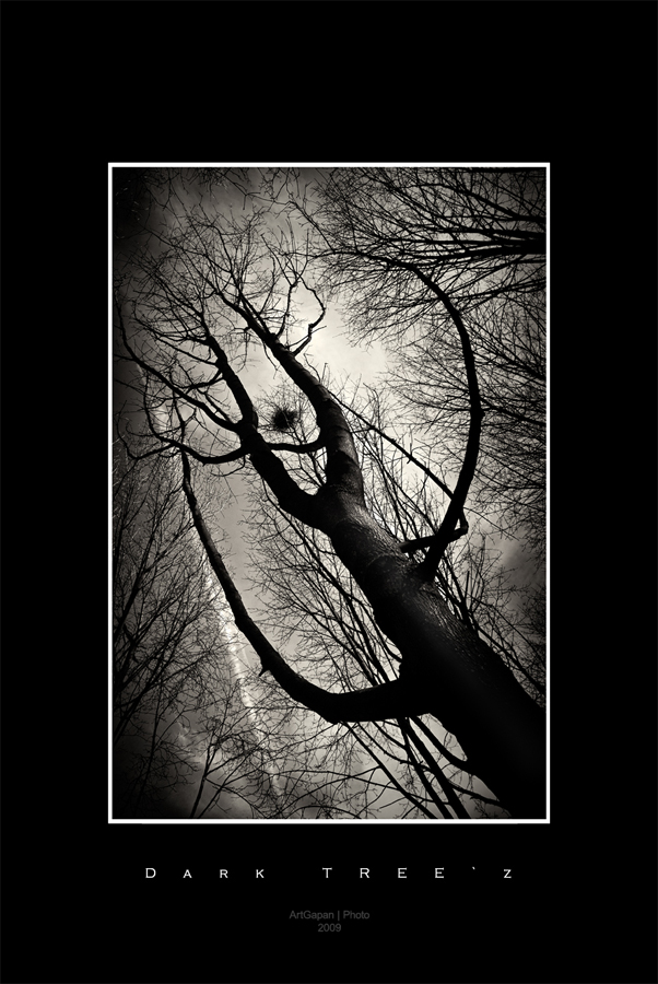 Dark TREE`z *2