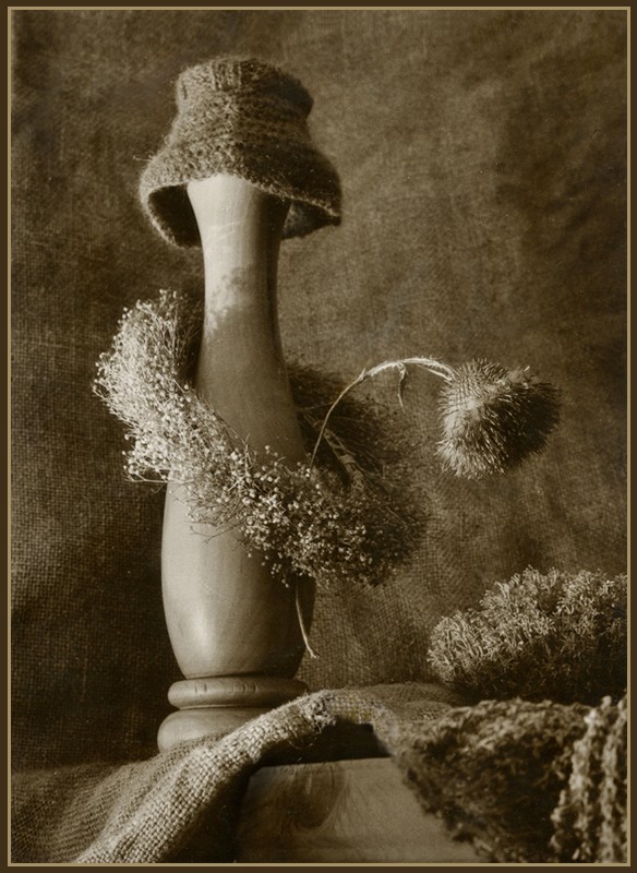 ... Mit seinem konstanten Herbarium.