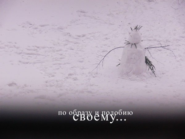 dem Bild und Gleichnis.