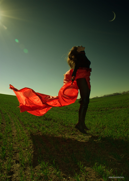 Artikel 13 (sur-Version)