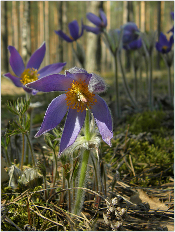 Schalten Sie das Foto-Shooting:)