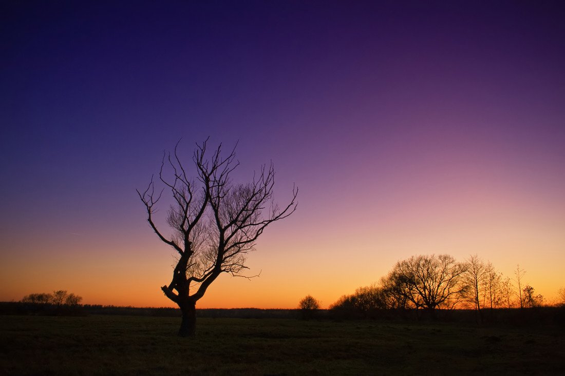 über die Herbst-Saison