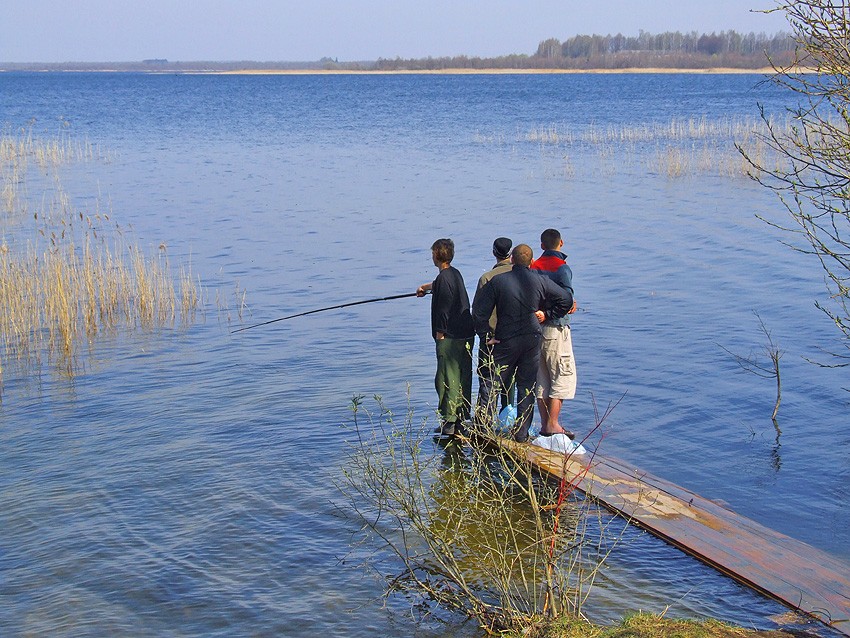 Wir warten auf Sie, Goldfisch! ..