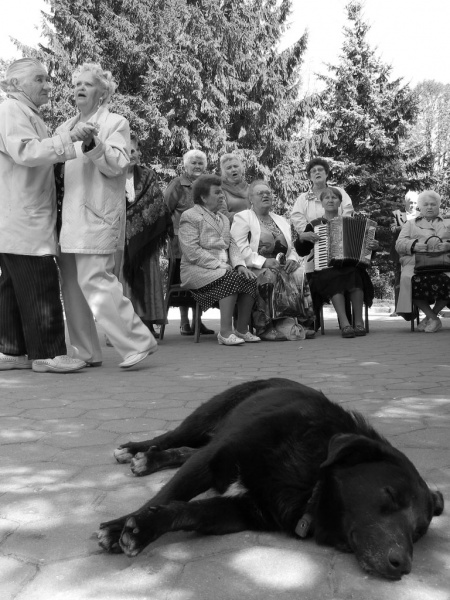 Während die Herrin des Tanzes ...