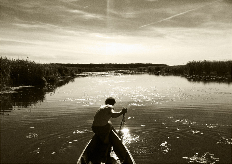 Märchen von der Fischer und der Goldfisch