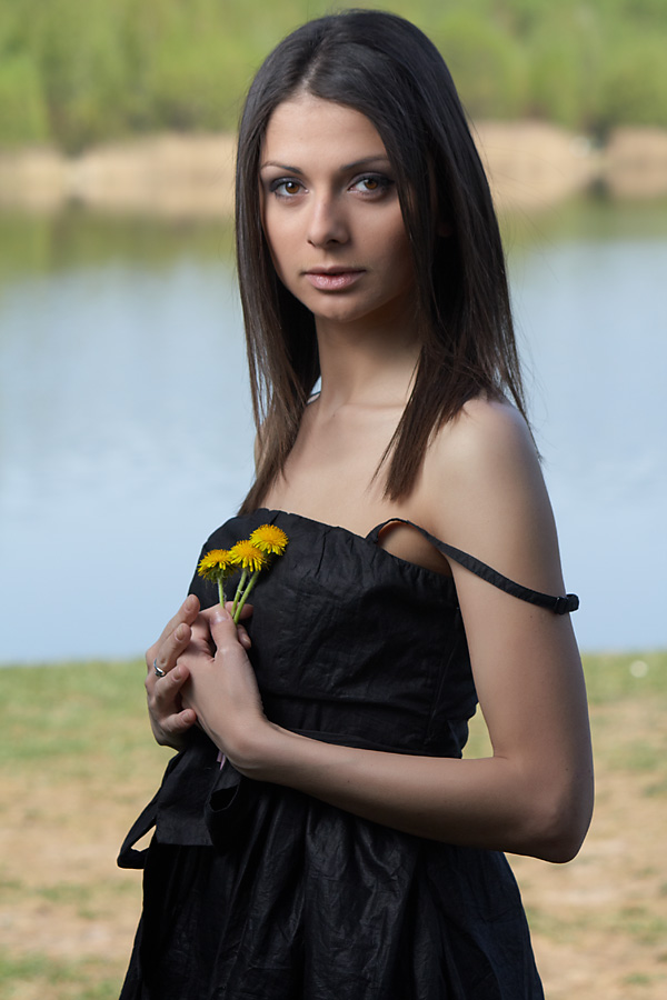 Porträt von drei Löwenzahn