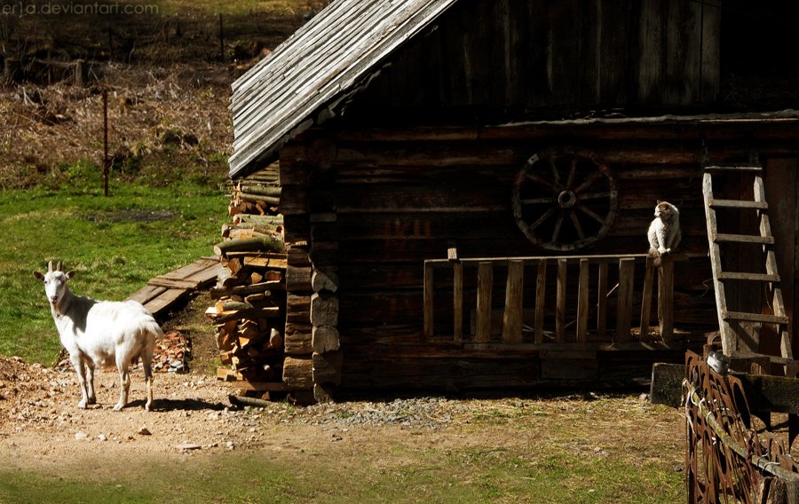 die ländliche Idylle