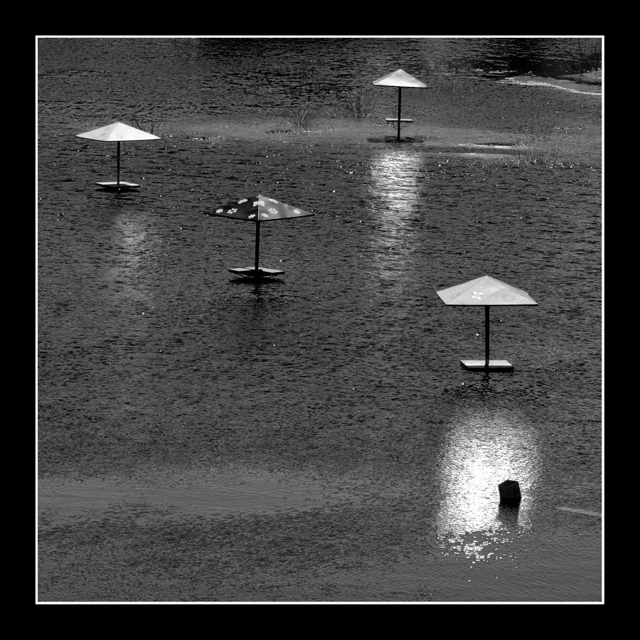 Alle Menschen sind gleich und alle gleich.