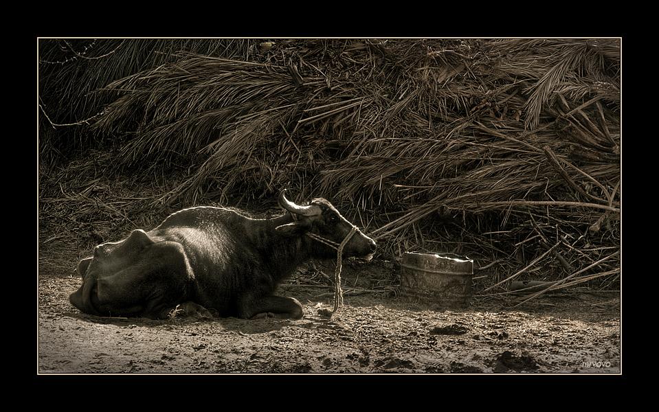 Tales of Echnaton - Folge 9