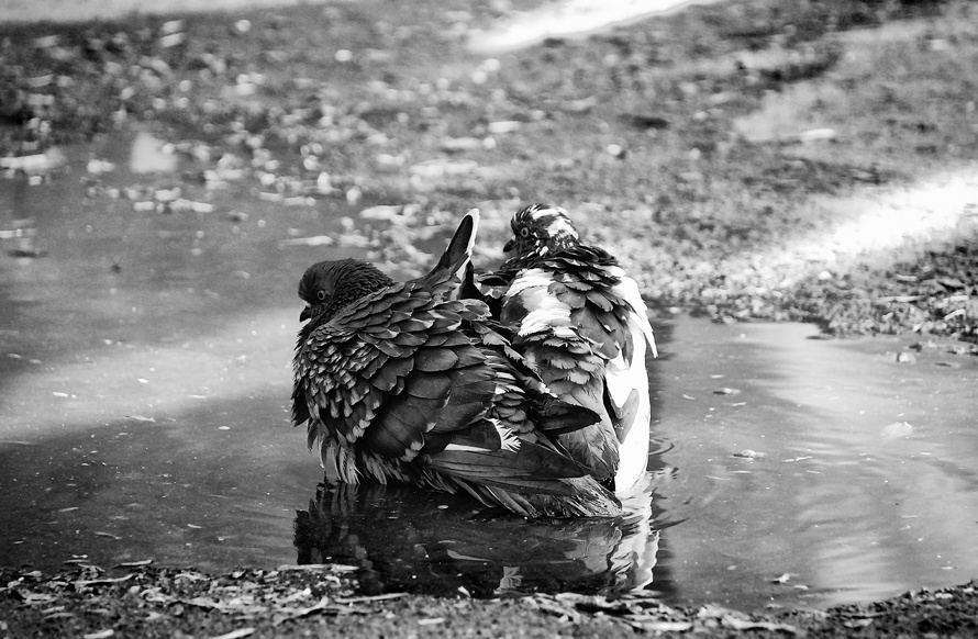 Ein Herz für zwei Personen.