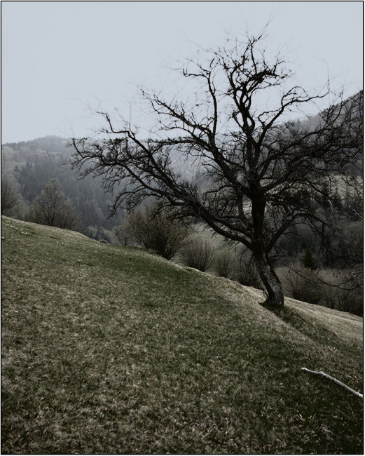 An den Hängen der Berge ...