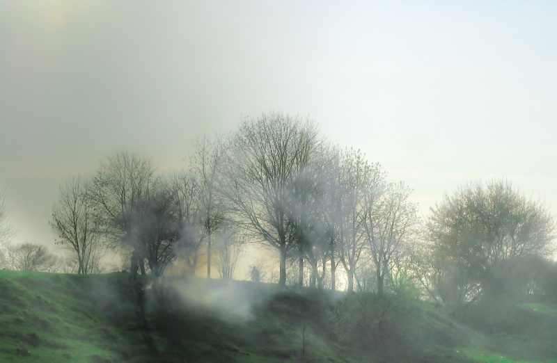 In den Hügeln und Nebel ...