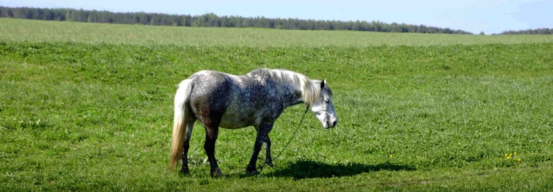 Kegelschnitt in das Bullauge