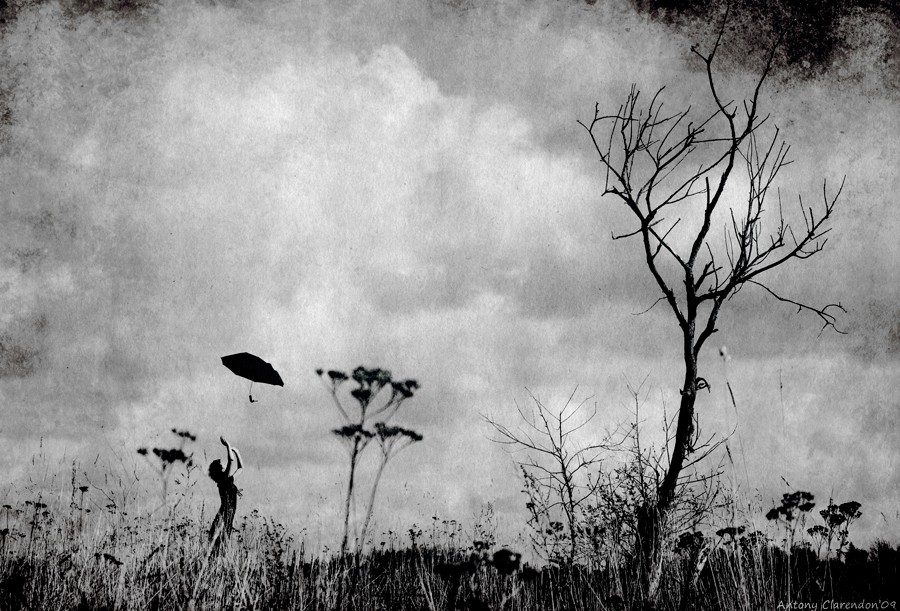 le temps est à la pluie