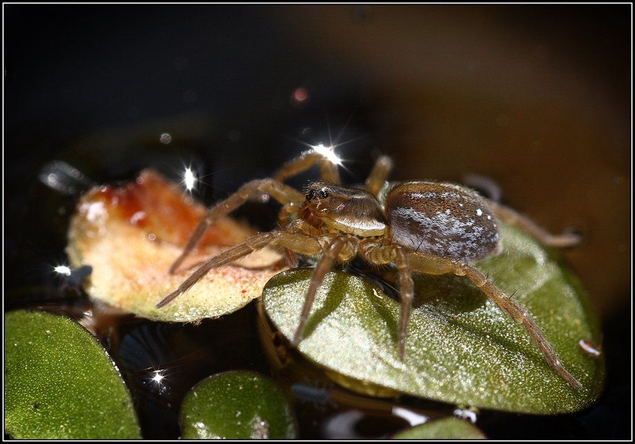 Auf dem Wasser als auf dem Wasser.