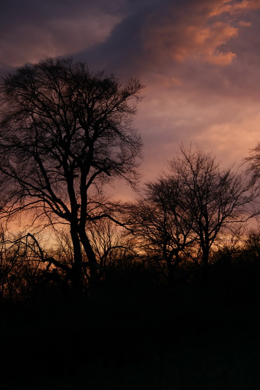 Sonnenuntergang Stimmung