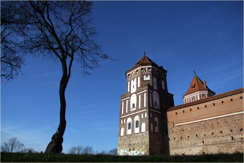 Lonely Herz im Schatten einer einsamen Baum ...