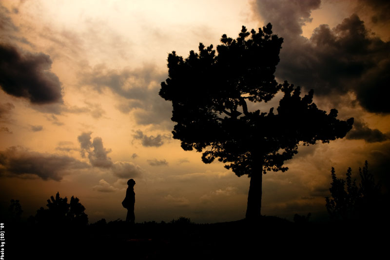 Der letzte Tag der Erde ...